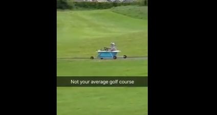 WATCH: These golfers in Athlone had their round disrupted by the most bizarre interruption