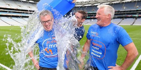 PIC: Joe Brolly has just captured the best Pat Spillane picture of all time
