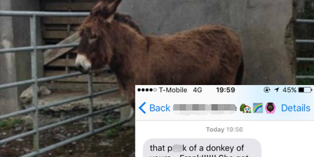 PIC: Irish fella receives text from his Mammy after his donkey went on the rampage