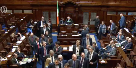 Bill on abortion in cases of fatal foetal abnormalities defeated by Dáil vote