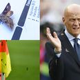 Moth infestation swarms Euro 2016 final… because they stupidly left the lights on