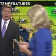 VIDEO: News reporter walks through weather broadcast while playing Pokemon GO