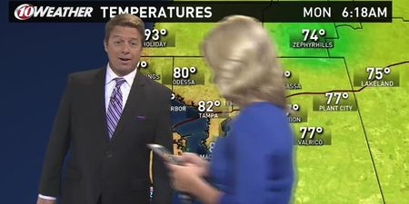 VIDEO: News reporter walks through weather broadcast while playing Pokemon GO