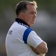 Davy Fitzgerald has been ratified as the new manager of Wexford