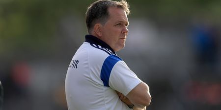 Davy Fitzgerald has been ratified as the new manager of Wexford