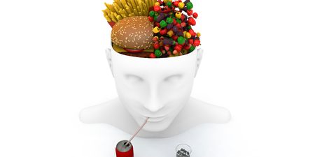 Your eating habits might literally be shrinking your brain