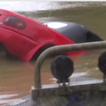 WATCH: Remarkable rescue of a woman and her dog from a sinking car