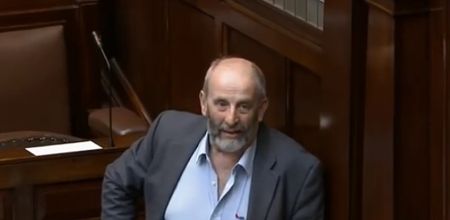 Danny Healy-Rae: Noah’s Ark is more believable than climate change