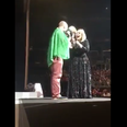 WATCH: Adele brought an Irishman and his dog onstage at her concert and the crowd loved it