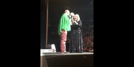 WATCH: Adele brought an Irishman and his dog onstage at her concert and the crowd loved it