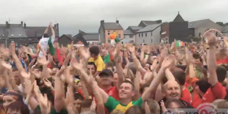 WATCH: A class Icelandic chant broke out at the O’Donovan brothers’ homecoming in Skibbereen