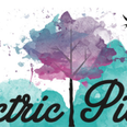 Electric Picnic sneakily made more tickets available through Ticketmaster on Thursday