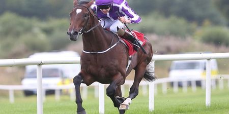 The annual Student Race Day at Leopardstown has been rescheduled