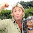 A very touching letter from Steve Irwin has been discovered ten years after his death