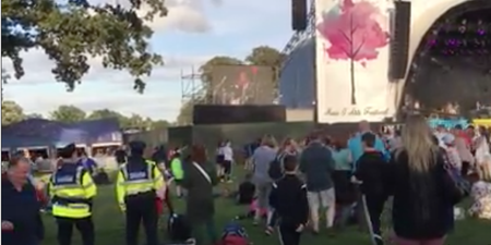 WATCH: These two boogying Gardaí at Electric Picnic have made our day