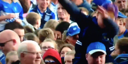 WATCH: This dabbing young fella on TG4 is our new favourite thing