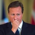 People can’t stop taking the piss out of David Cameron after he resigned as an MP