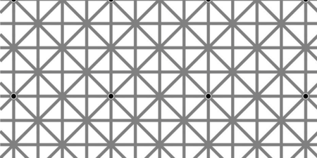 PIC: This optical illusion is driving the internet crazy