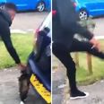 VIDEO: Heartless sicko coaxes cat towards him before viciously booting it (Graphic content)