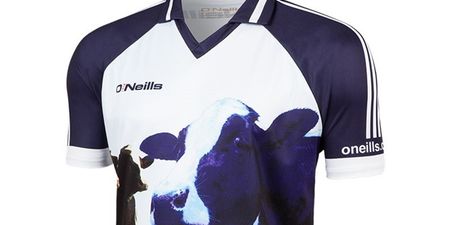 PICS: Fans of farming and GAA will love these O’Neills jerseys for the Ploughing Championships