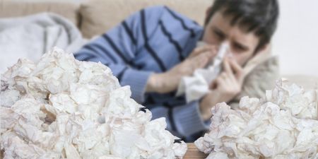 People who catch the flu are 6 times more likely to have a heart attack