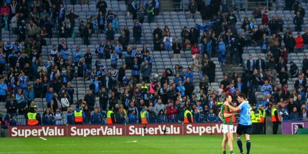 A second senator has complained about not getting All-Ireland Final tickets