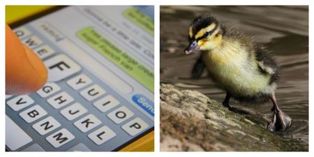There’s one simple trick to fix your “Ducking” autocorrect problem
