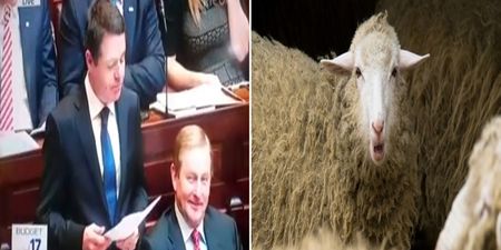 WATCH: Anonymous TD makes sheep noise following announcement of sheep welfare scheme in budget