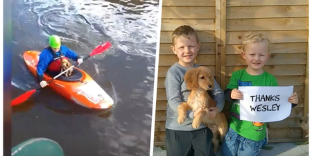 WATCH: Hero rescues stranded dog who fell into flooded river in Tipperary