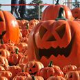 New York Times ranks Irish city as one of the top 6 places in the world to celebrate Hallowe’en