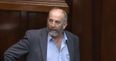 WATCH: “They hate you down there!” – Danny Healy-Rae is livid with Shane Ross’ new road bill