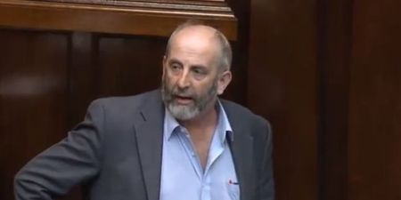 WATCH: “They hate you down there!” – Danny Healy-Rae is livid with Shane Ross’ new road bill