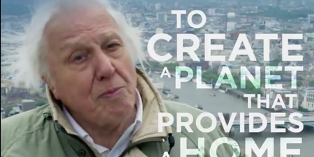 WATCH: People are tearing up at Sir David Attenborough’s Planet Earth II finale sign off