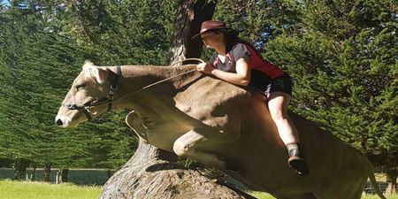 WATCH: Girl wasn’t allowed to ride a horse, so she taught her cow to be a horse instead
