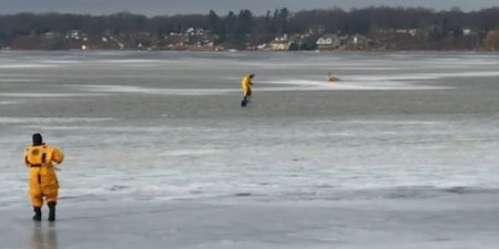 VIDEO: The moment a dog is saved after falling through a frozen lake