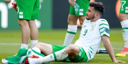 PICs: Shane Long’s wonderful gesture to young fan after Euro 2016 defeat has only just been revealed