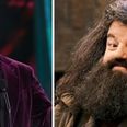This is the surprising reason Robin Williams was rejected for the role of Hagrid in Harry Potter