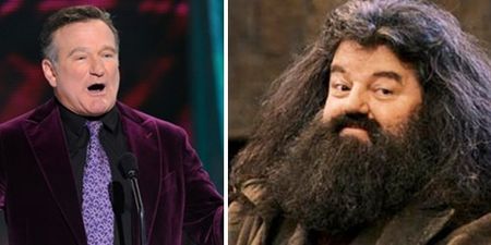 This is the surprising reason Robin Williams was rejected for the role of Hagrid in Harry Potter