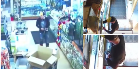 WATCH: Man steals snake from store by shoving it down his pants