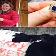 PICS: Irish farmer proposes to his girlfriend by spray-painting ‘Marry Me?’ on a cow