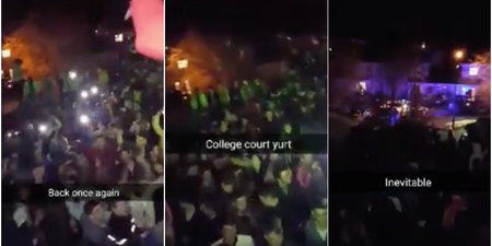 WATCH: There was a real life Project X party in Limerick last night