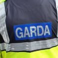 Man arrested in connection to female body parts found in Wicklow