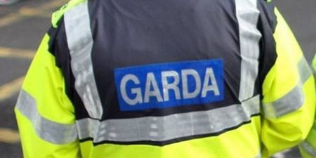 Man arrested in connection to female body parts found in Wicklow