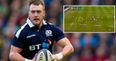 WATCH: No-one else spotted who was really to blame for that “schoolboy” Stuart Hogg try