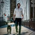 Here is your first official look at John Wick: Chapter 3