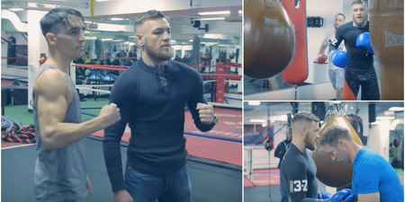 WATCH: Conor McGregor runs into Michael Conlan as he hones his boxing technique in California