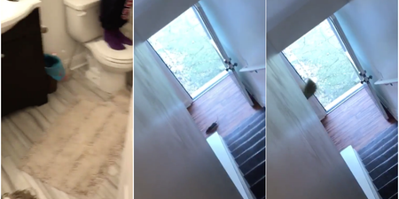 WATCH: Girls expertly get rid of rat from their house with foolproof system