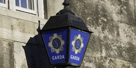 Gardaí appeal for information on missing woman following reports of “female pedestrian being forced into a vehicle”
