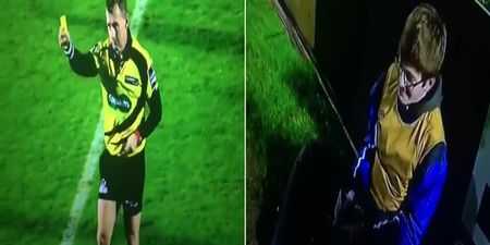 Nigel Owens is looking for the ballboy that hit him with the ball… so he can give him a reward