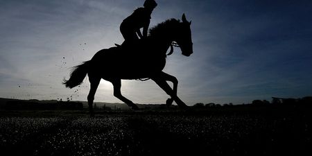 These are 5 bets for Cheltenham that are definitely worth a small flutter